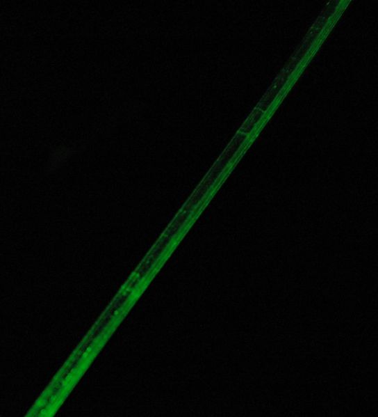 File:Cropped Used Surface imperfections 1 DSC 0200 (2).JPG
