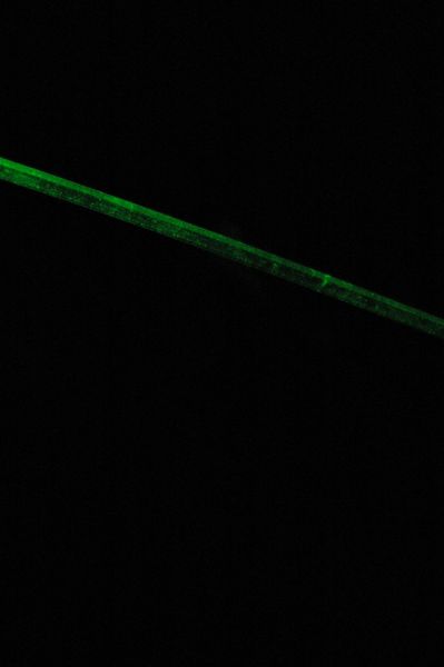 File:Cropped Used surface imperfect 2 DSC 0201.JPG