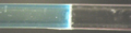 Thumbnail for version as of 01:00, 24 March 2021